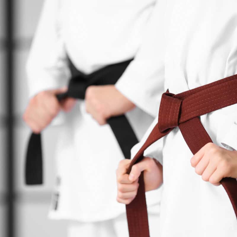 Martial artists wearing belts in a dojo, symbolising the discipline and effective management needed to run a successful martial arts club.