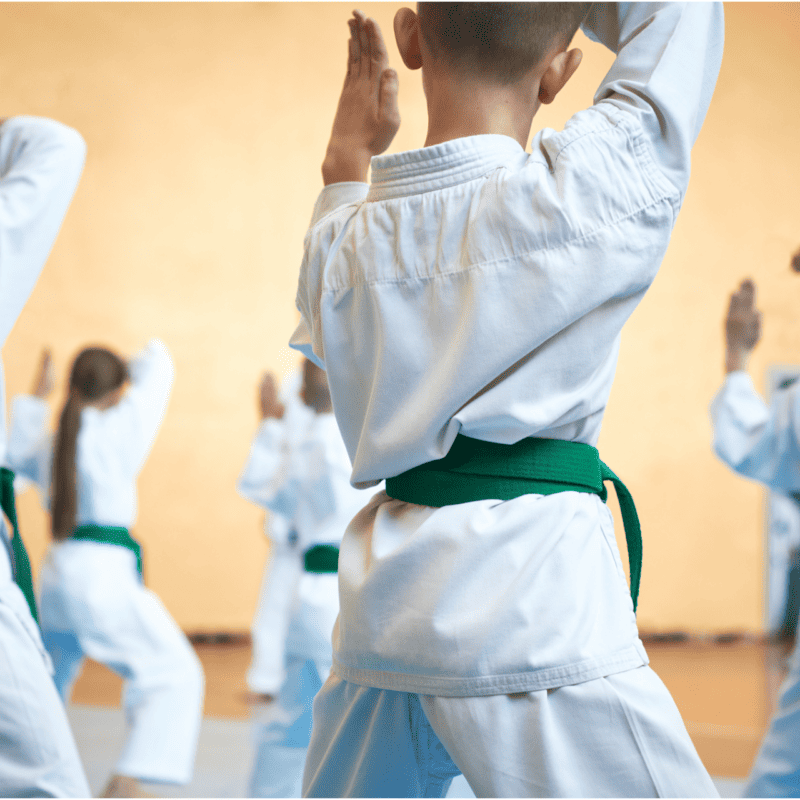 Children participate in a martial arts class during the summer holidays after their parents completed the booking using Parent/Guardian Logins.